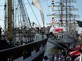 Hafen HH 822   017